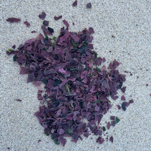 Charger l'image dans la galerie, Algues bretonnes - Salade Océane 50g