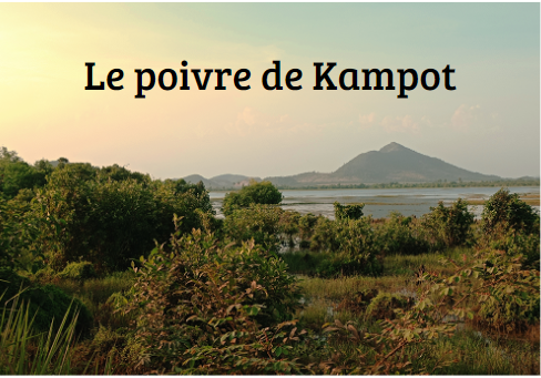 Retour de Kampot.